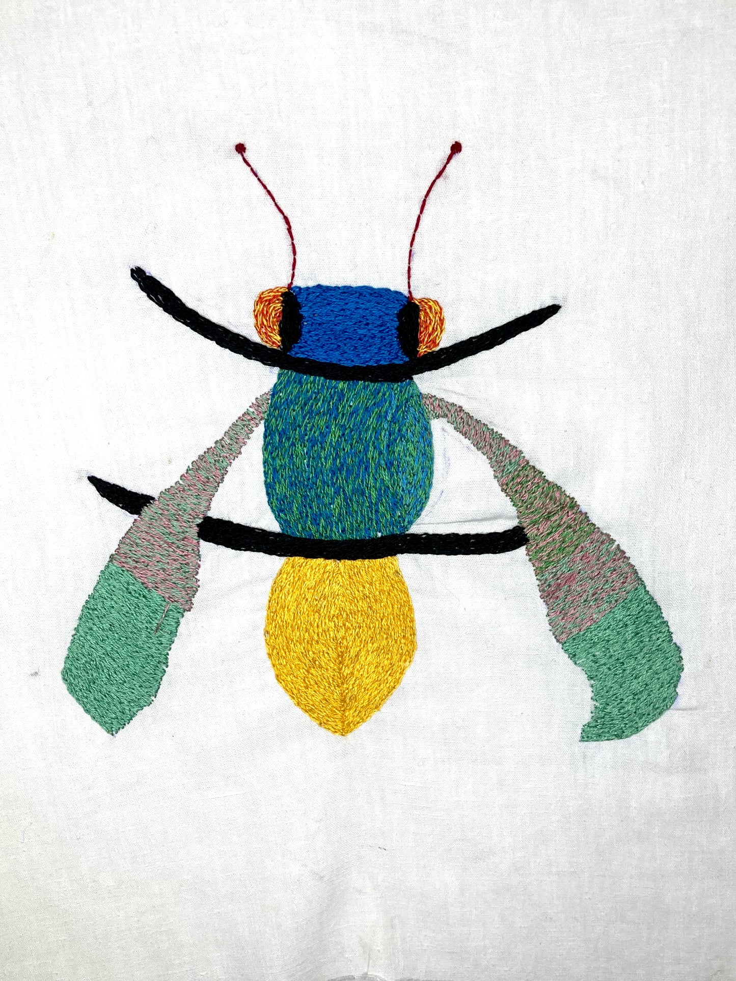 Flying Insect