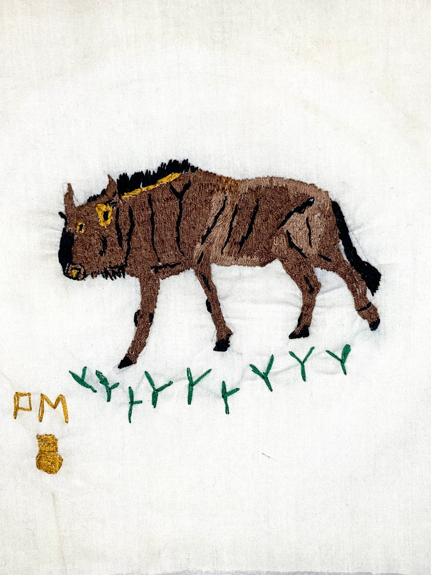 Wildebeest