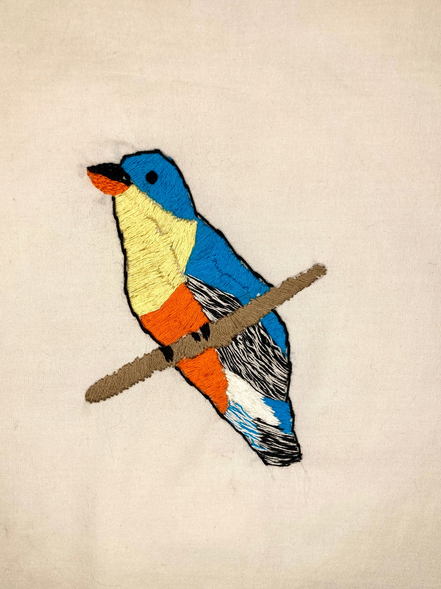 Blue, Yellow, and Orange Bird