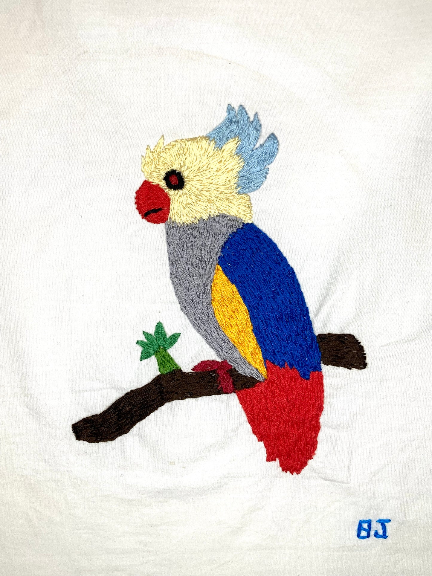 Multi-Colored Parrot