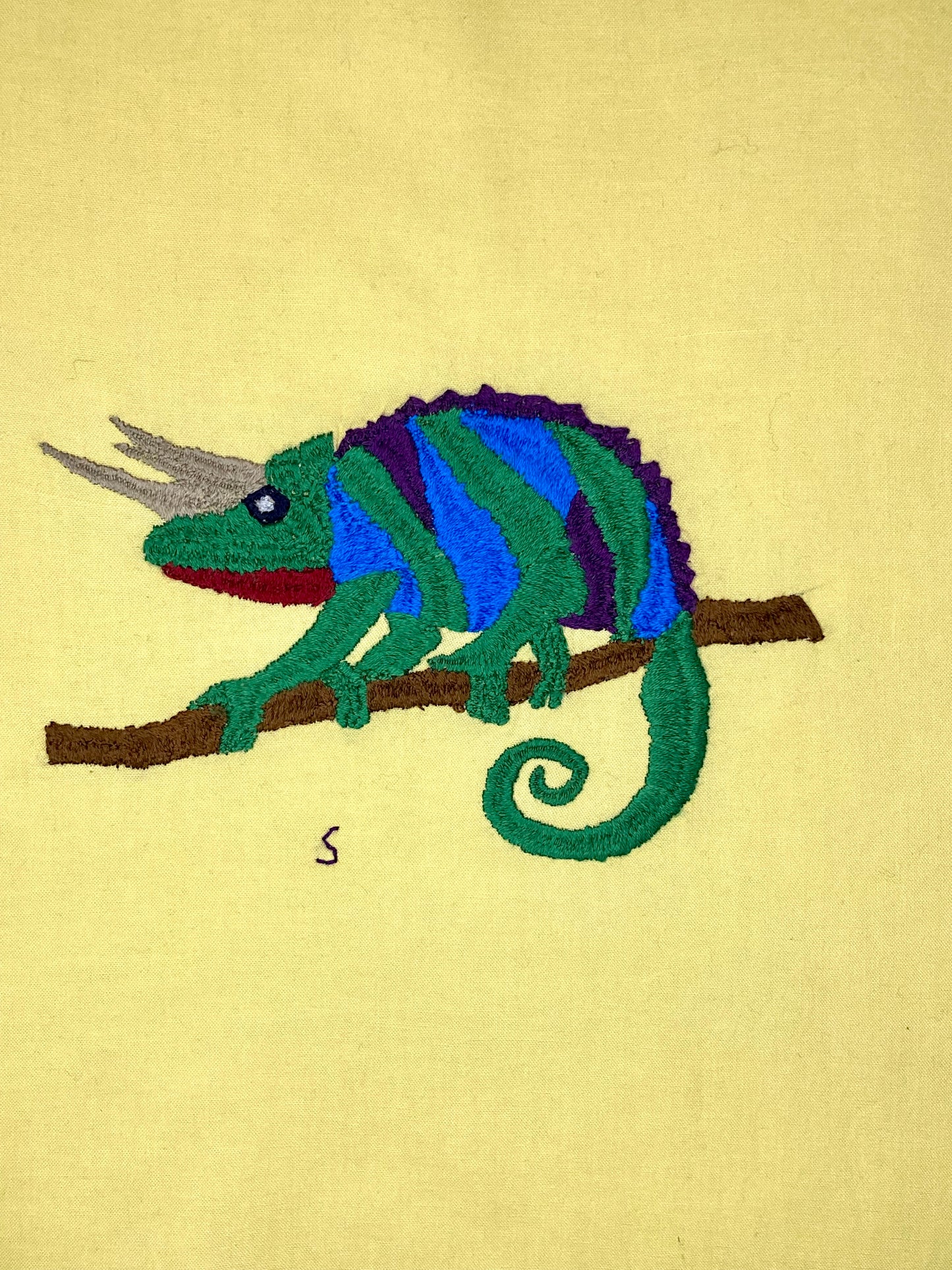 Horned Lizard