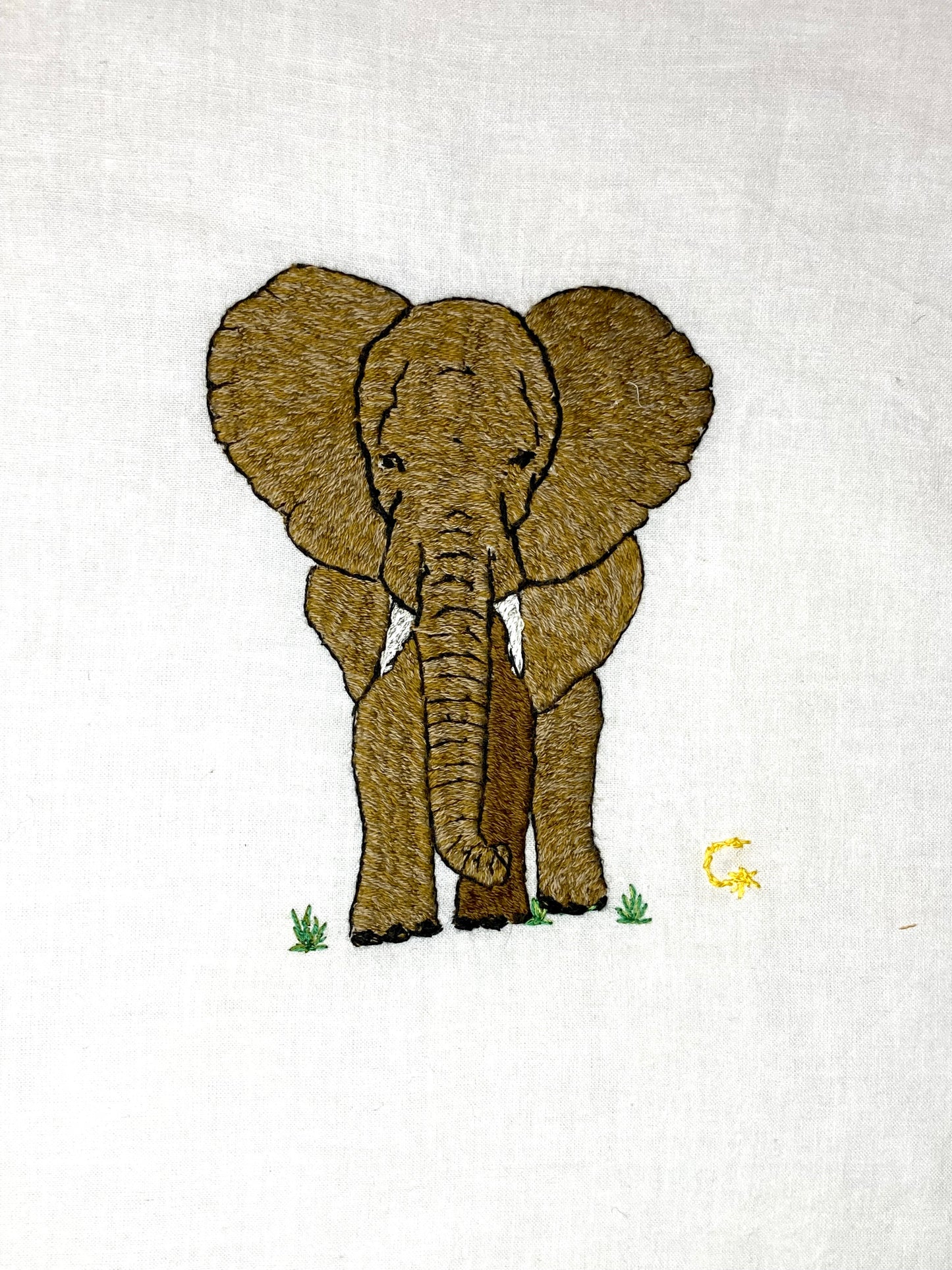 Elephant