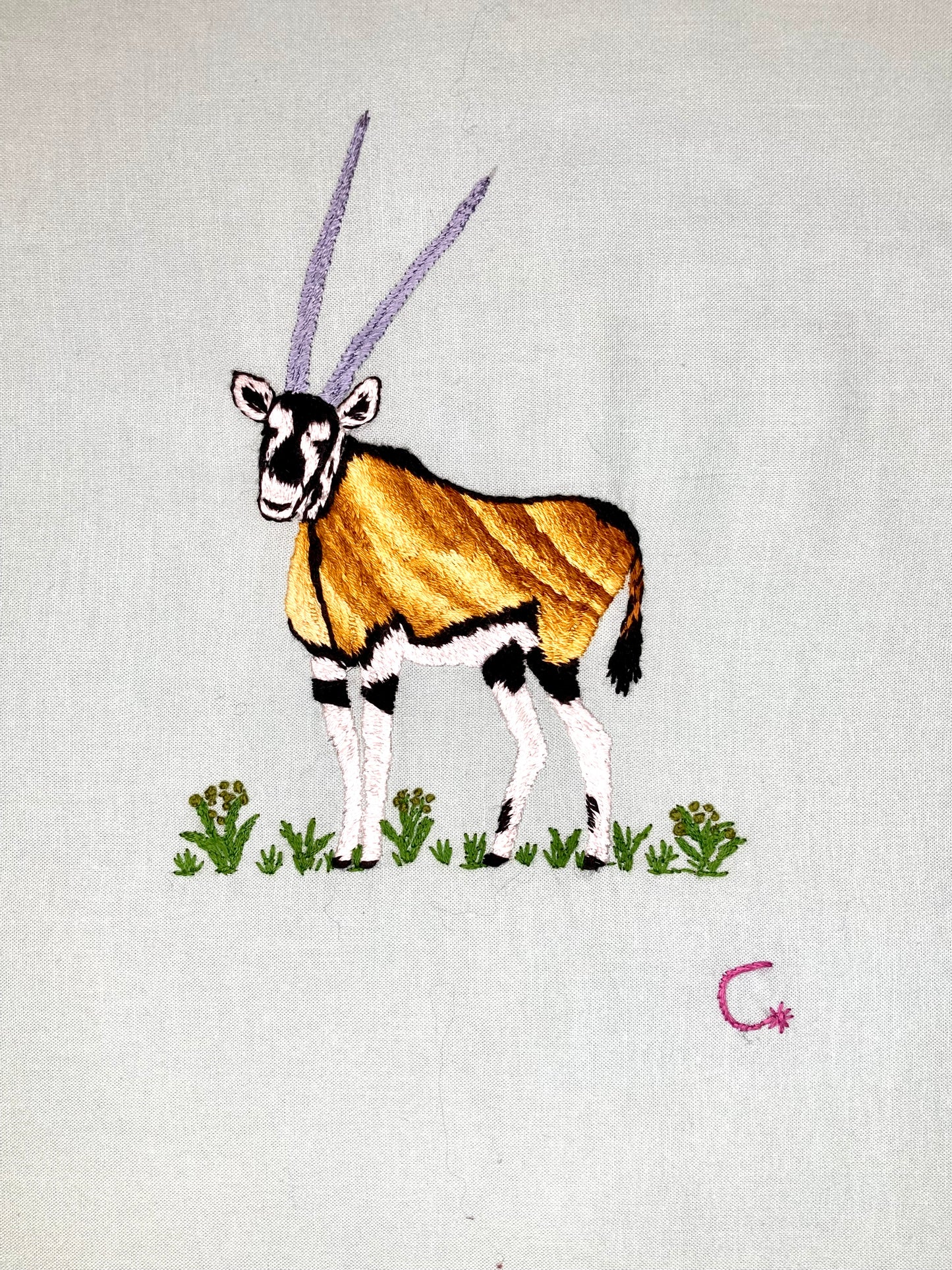 Ibex