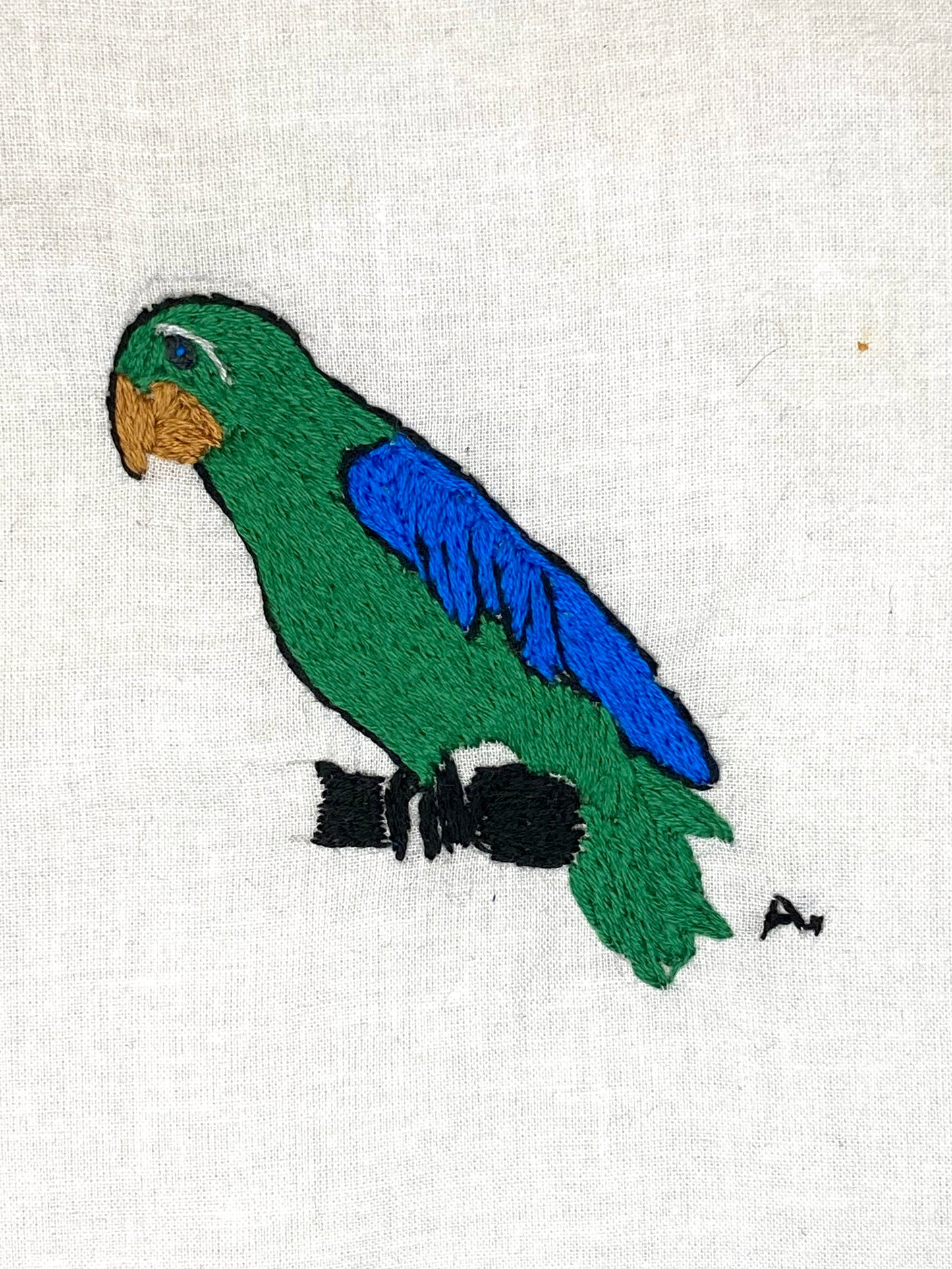 Blue and Green Bird