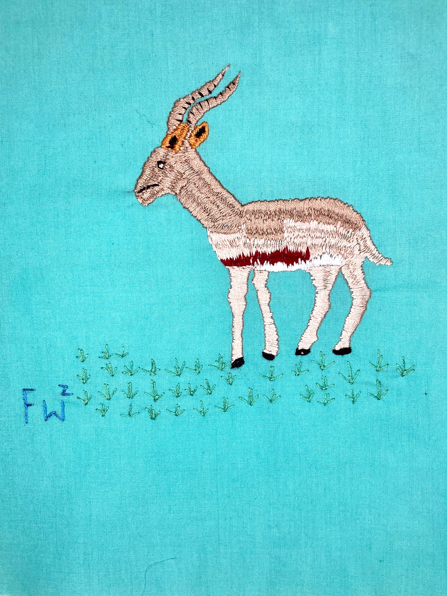 Ibex