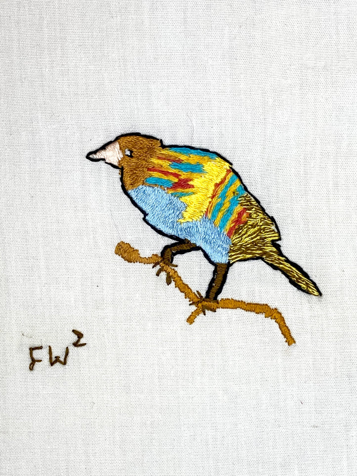 Multi-colored Bird
