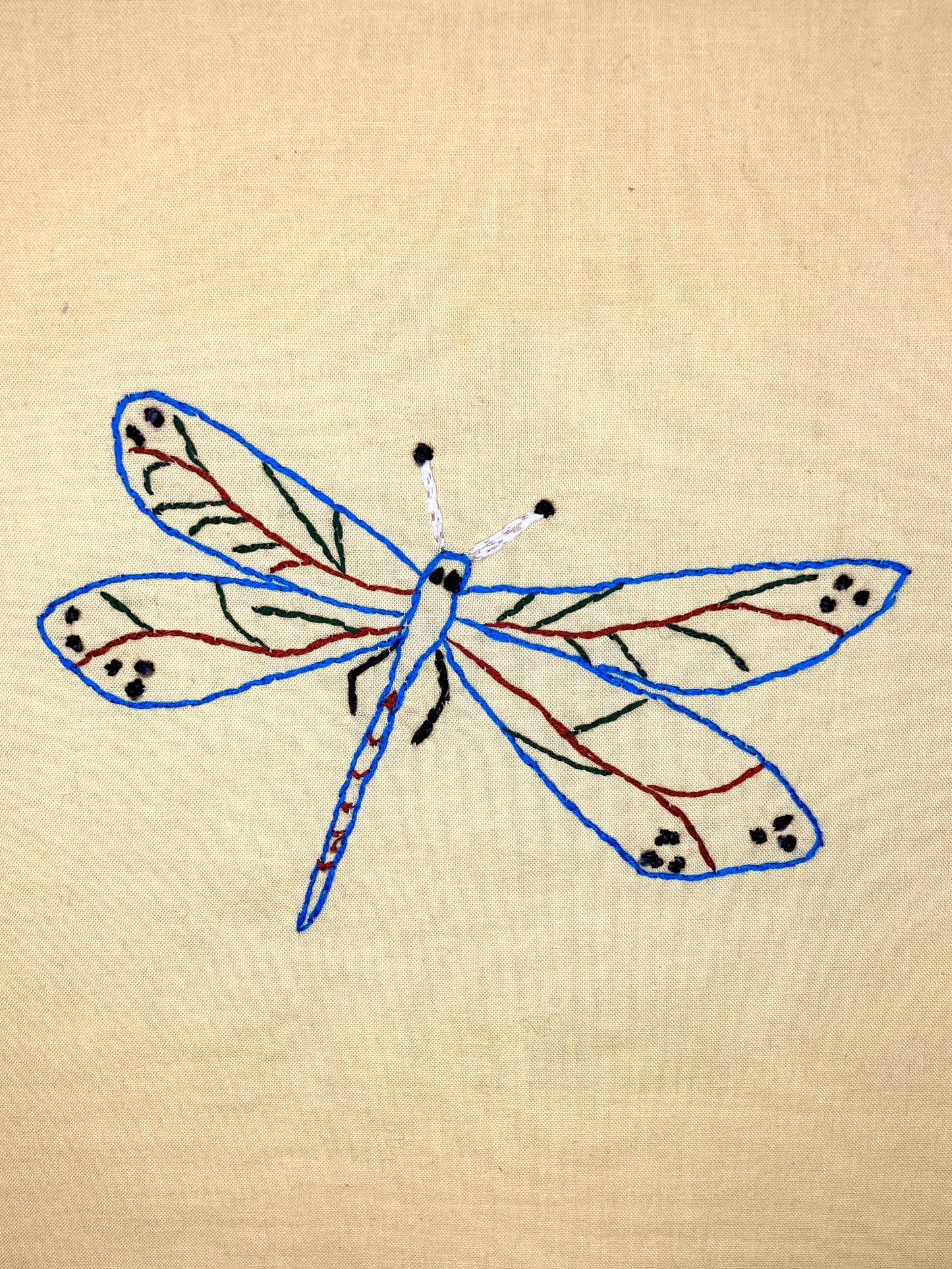 Dragonfly