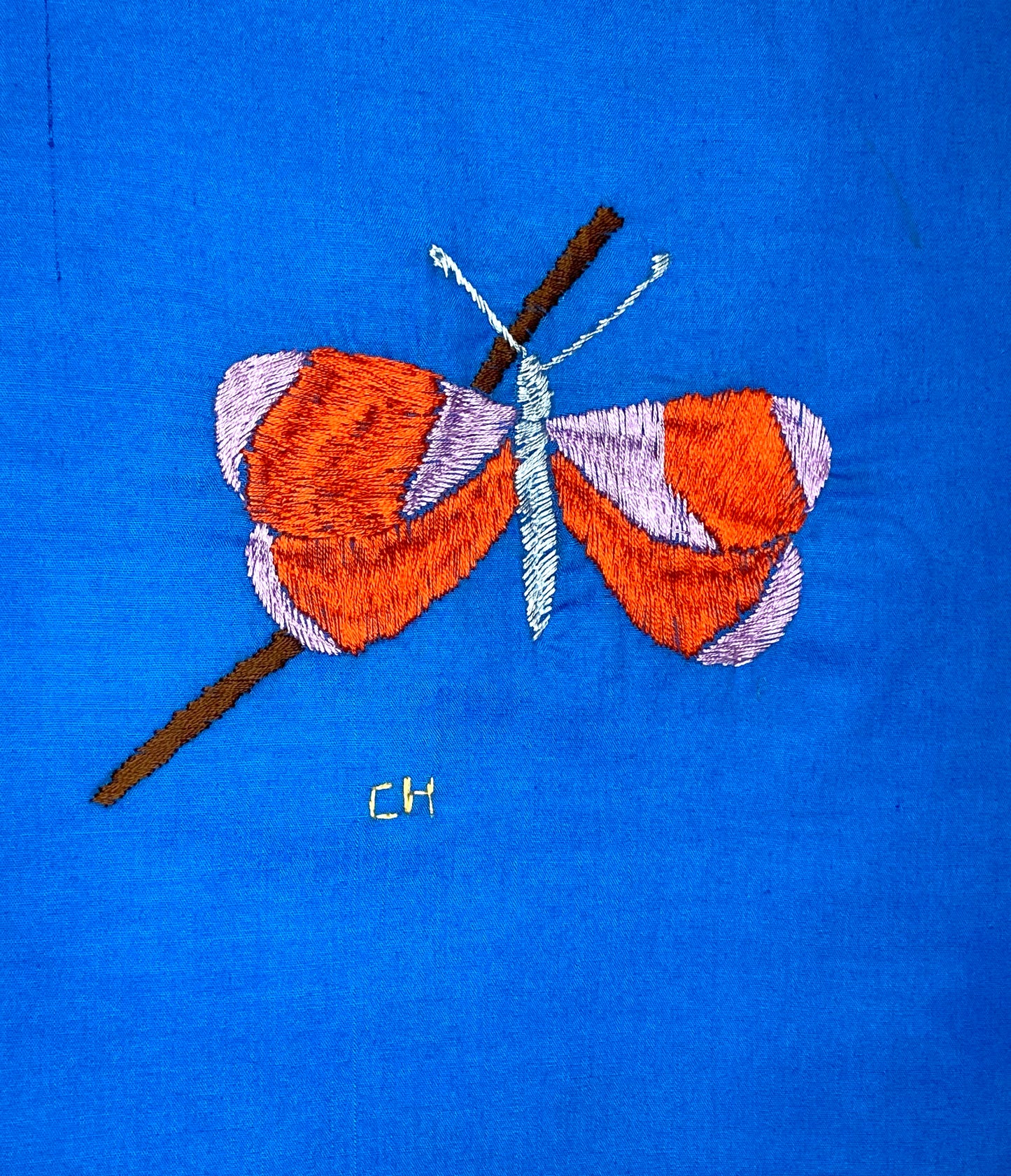 Red and Purple Butterfly