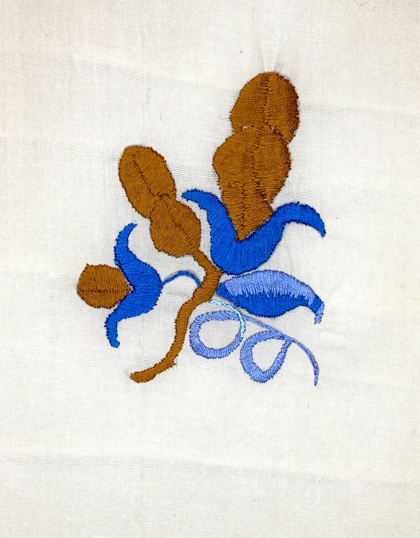 Blue and Brown Flower
