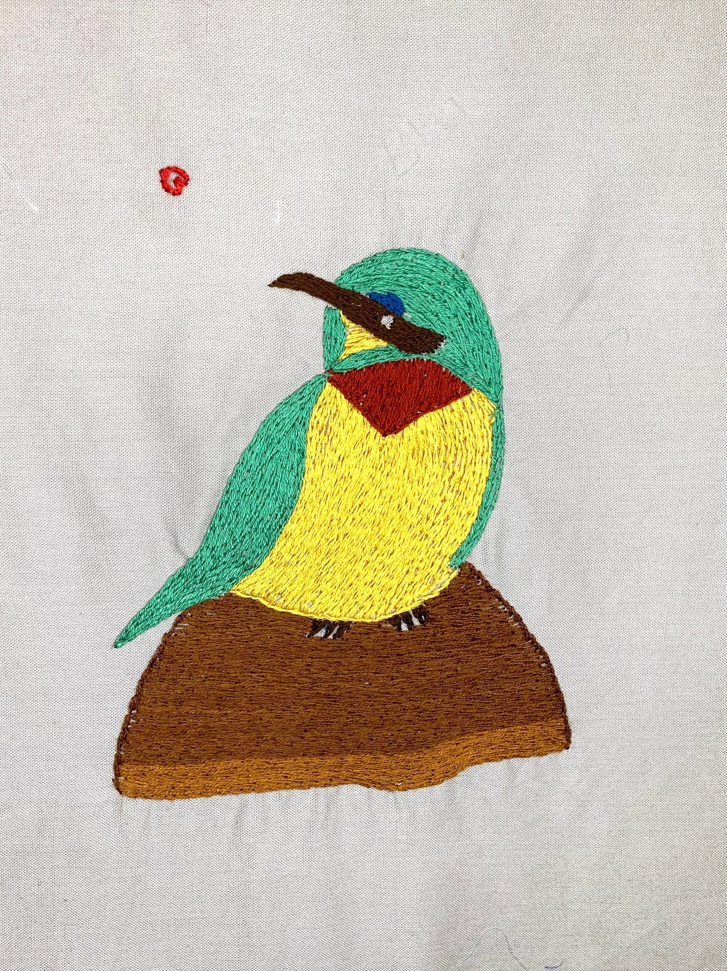 Green and Yellow Bee Eater Bird