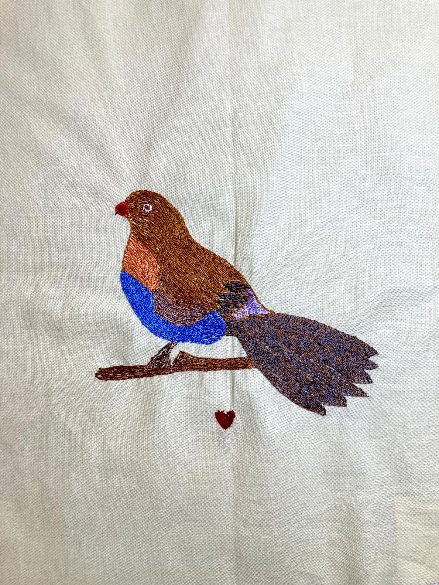 Bird