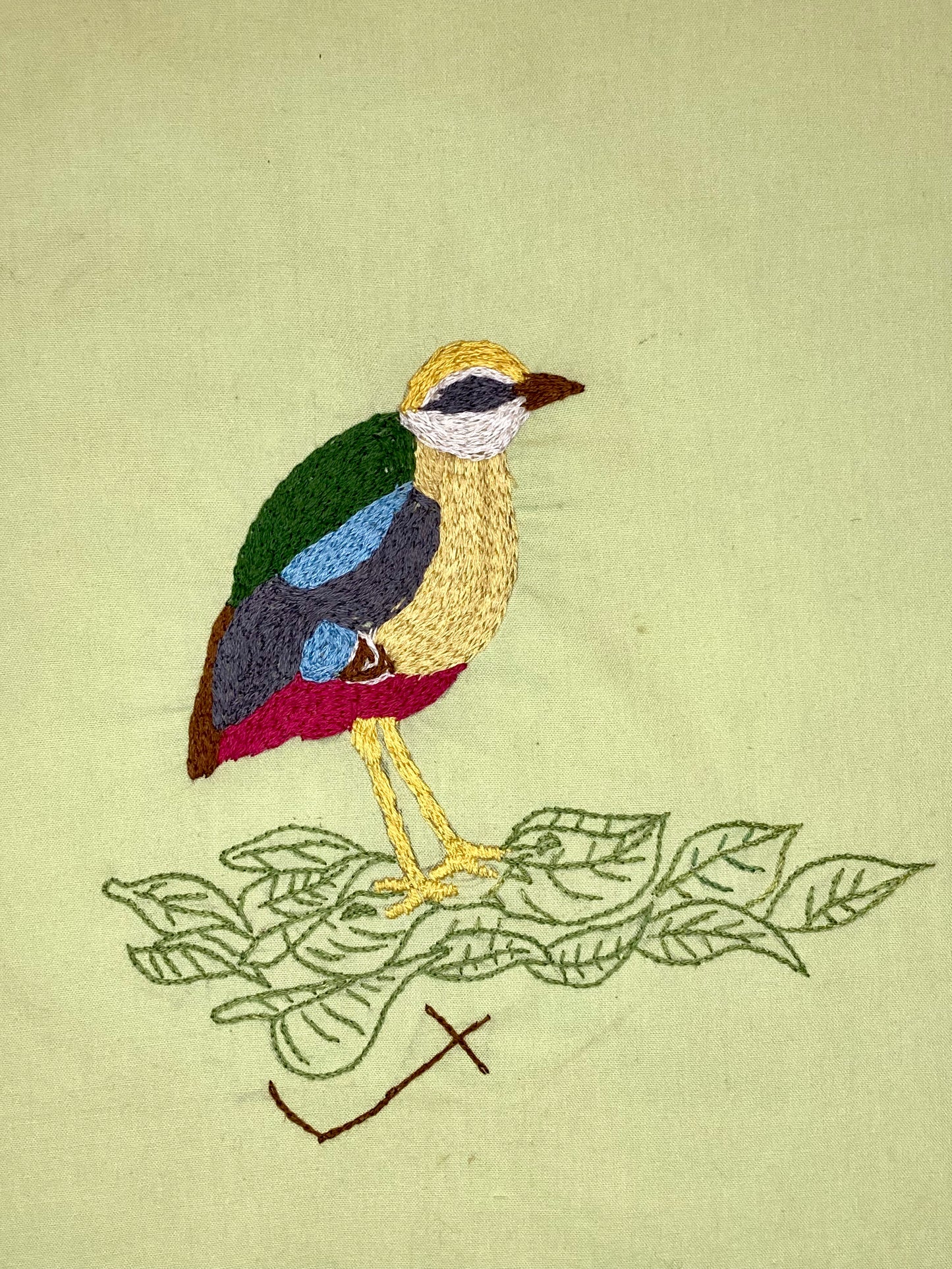Bird