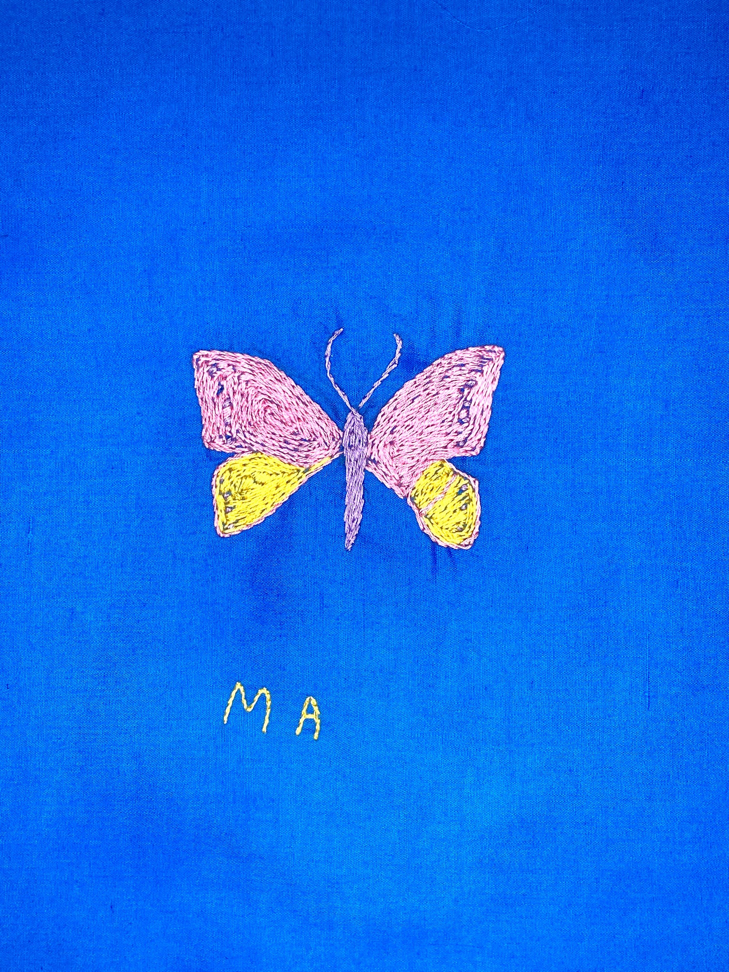 Pink and Yellow Butterfly