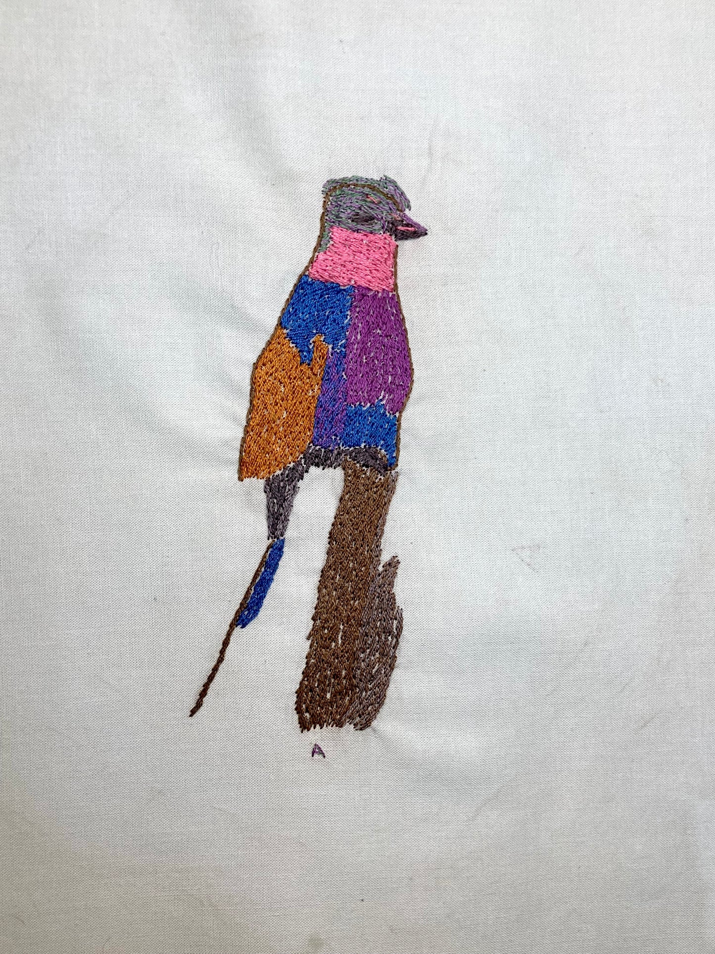 Bird