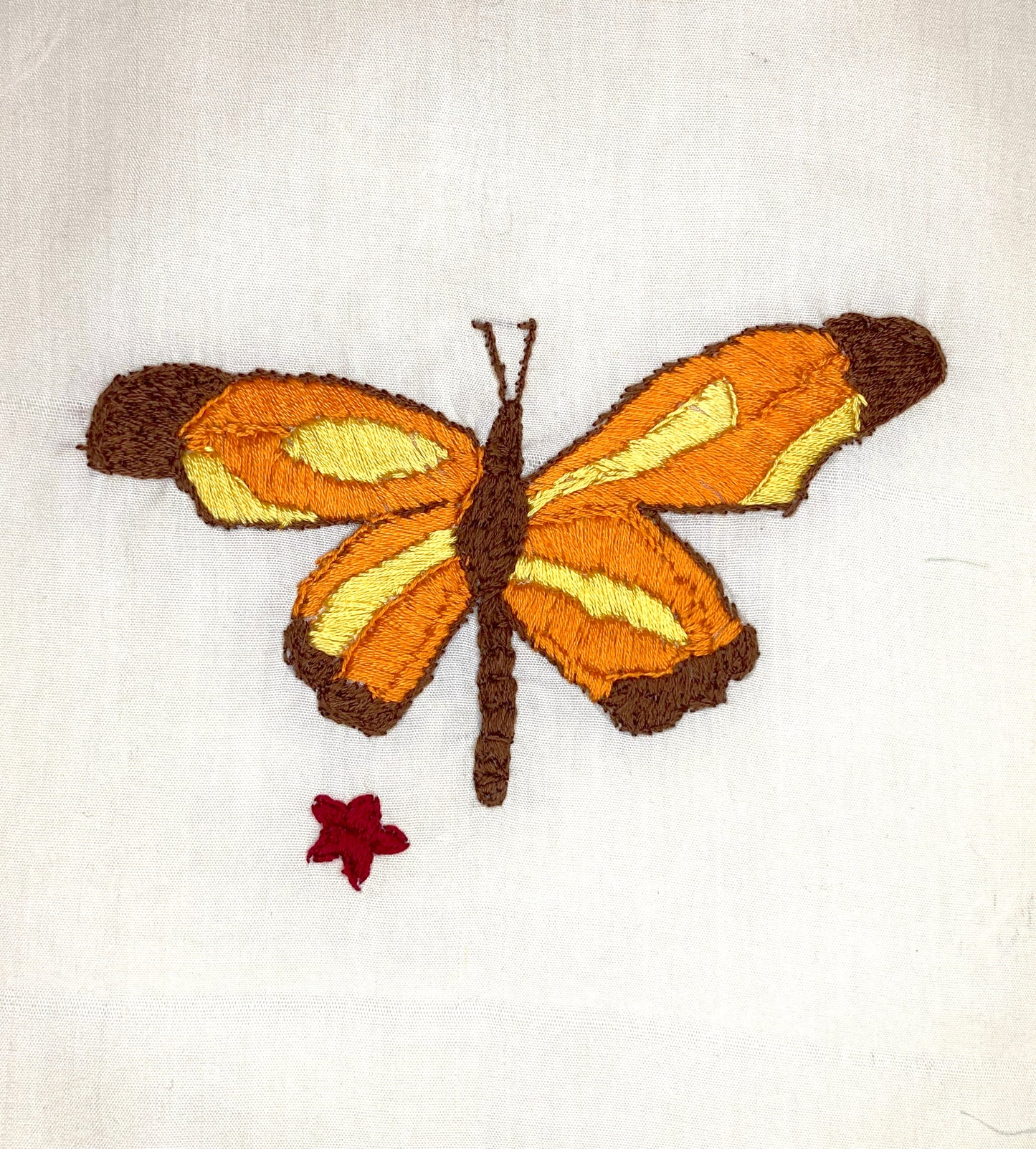 Orange and Yellow Butterfly