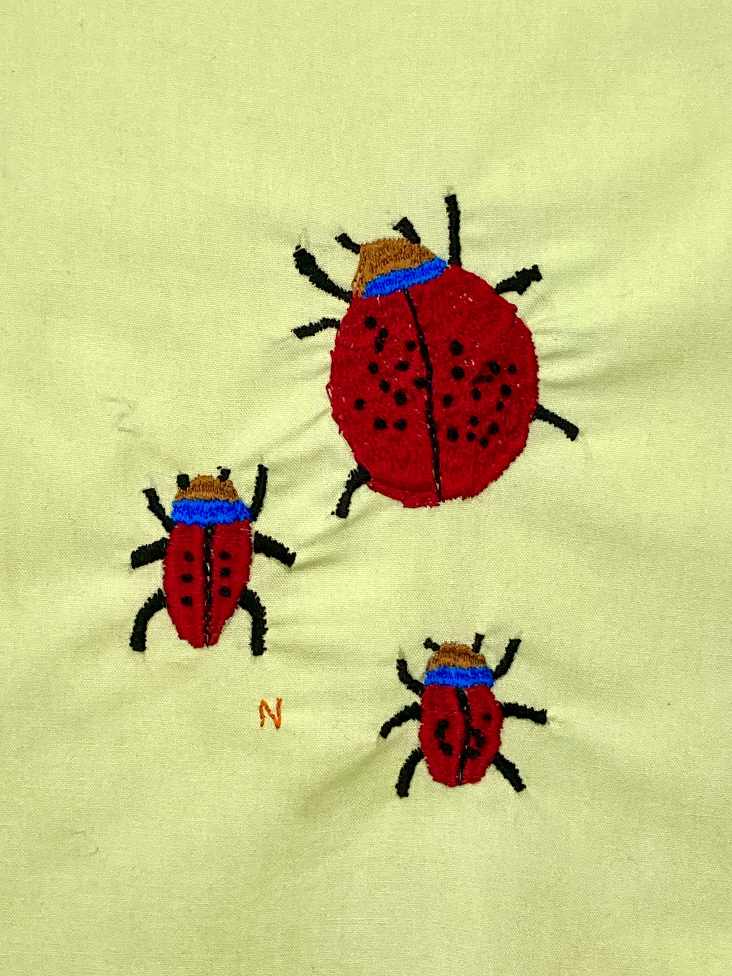 Ladybugs