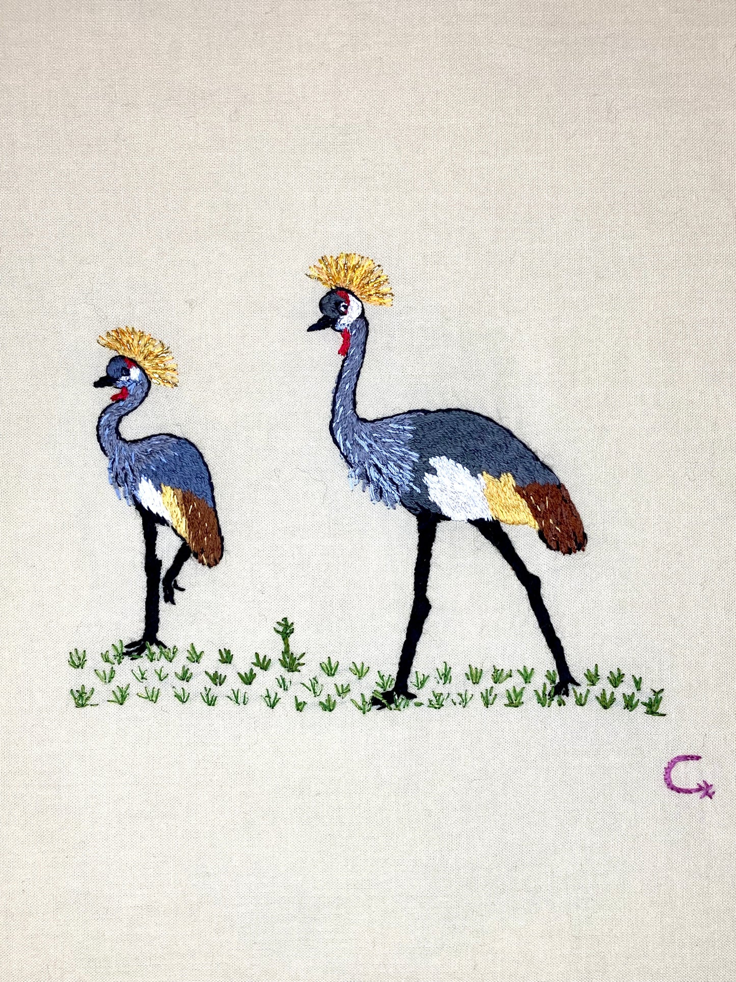 Crested Cranes