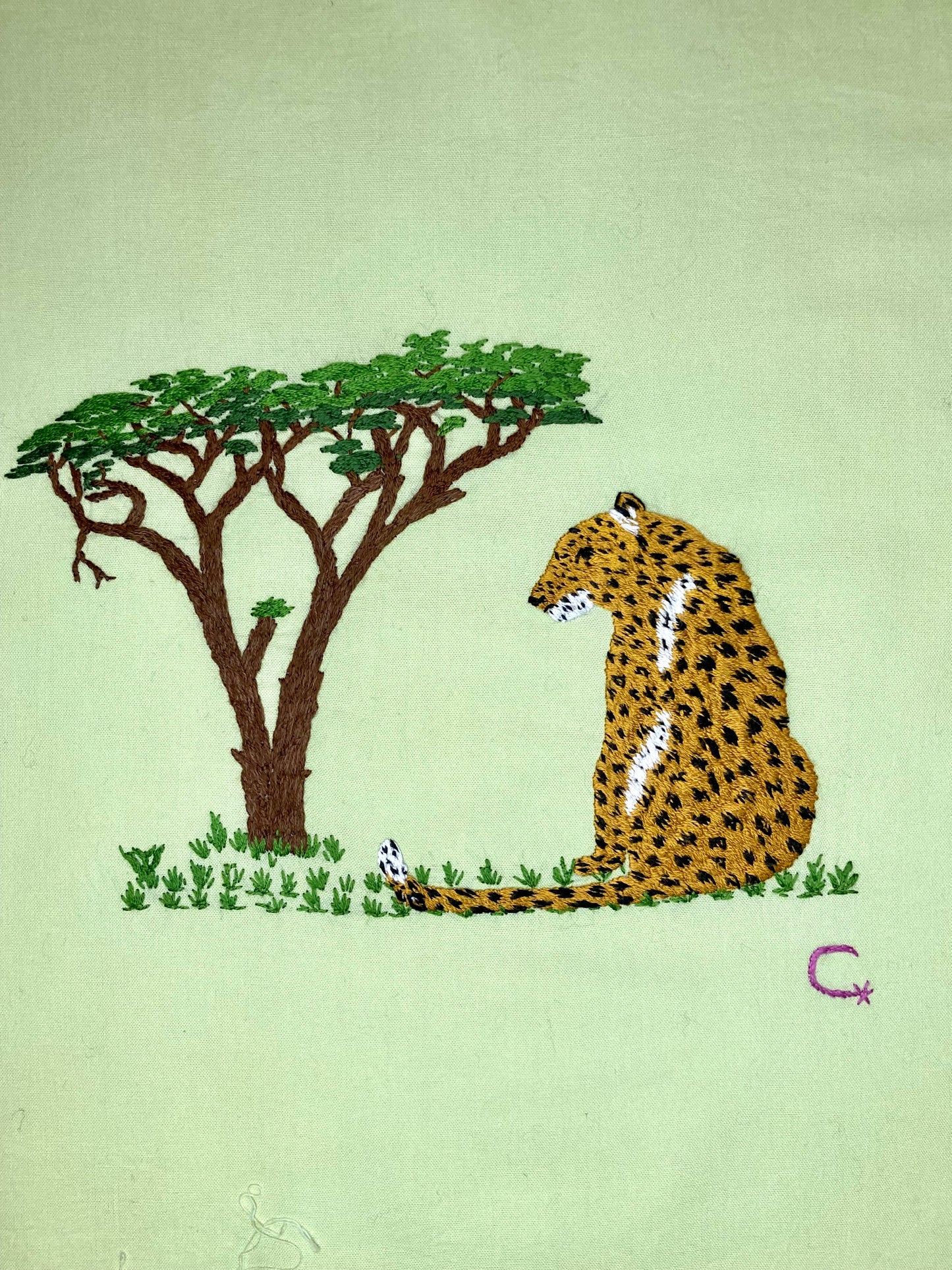Leopard and Tree