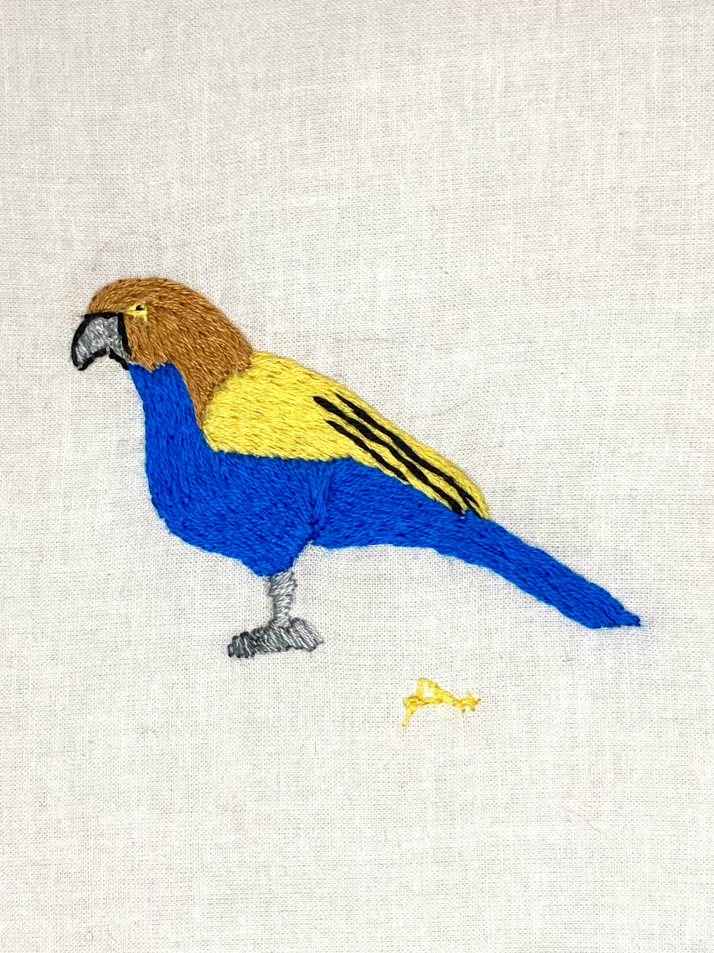 Blue and Yellow Bird