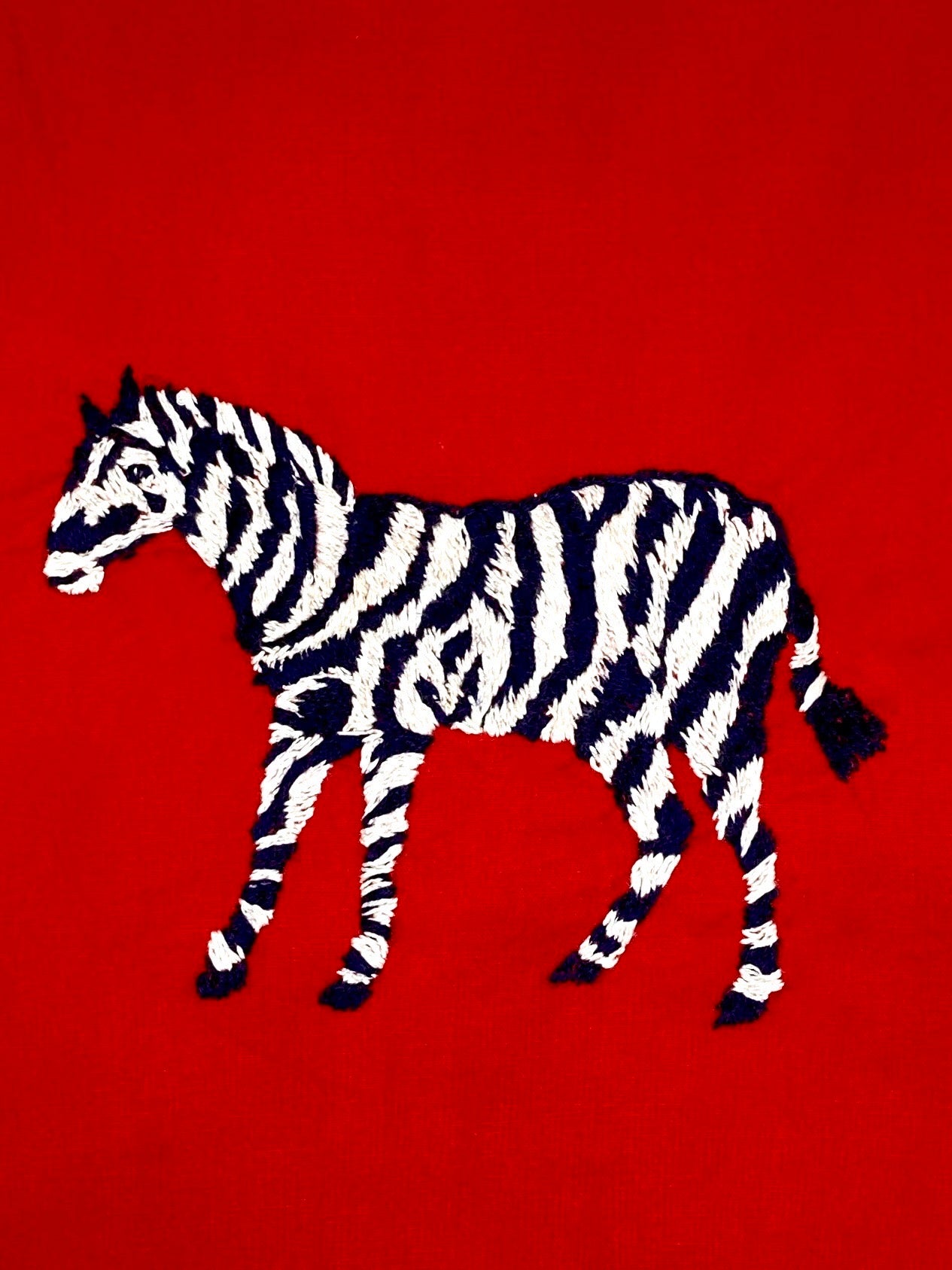 Zebra