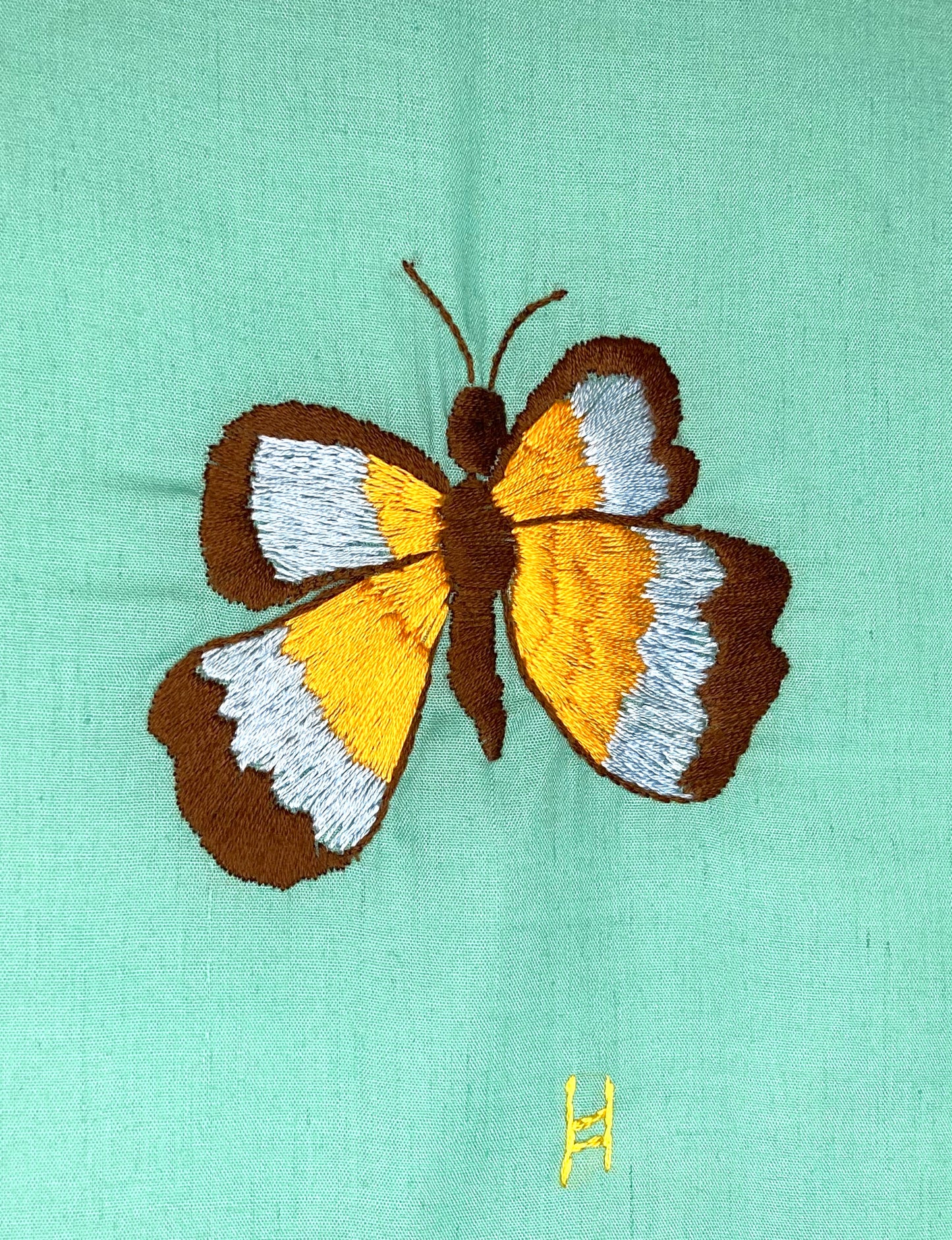 Brown, Blue, and Orange Butterfly