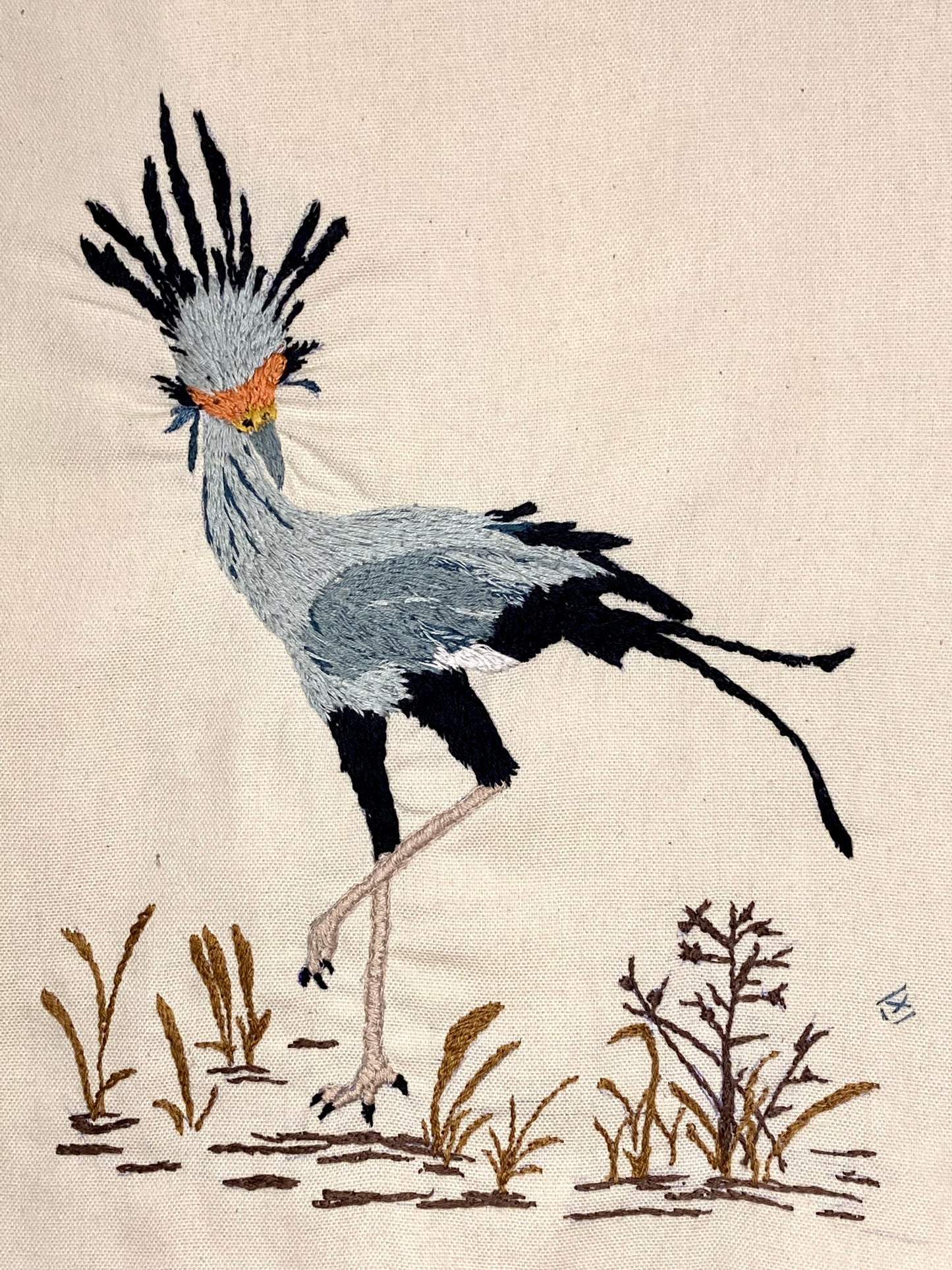 Secretary Bird